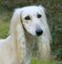 Portrait Yade 17.6.12