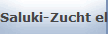 Saluki-Zucht el Kolub